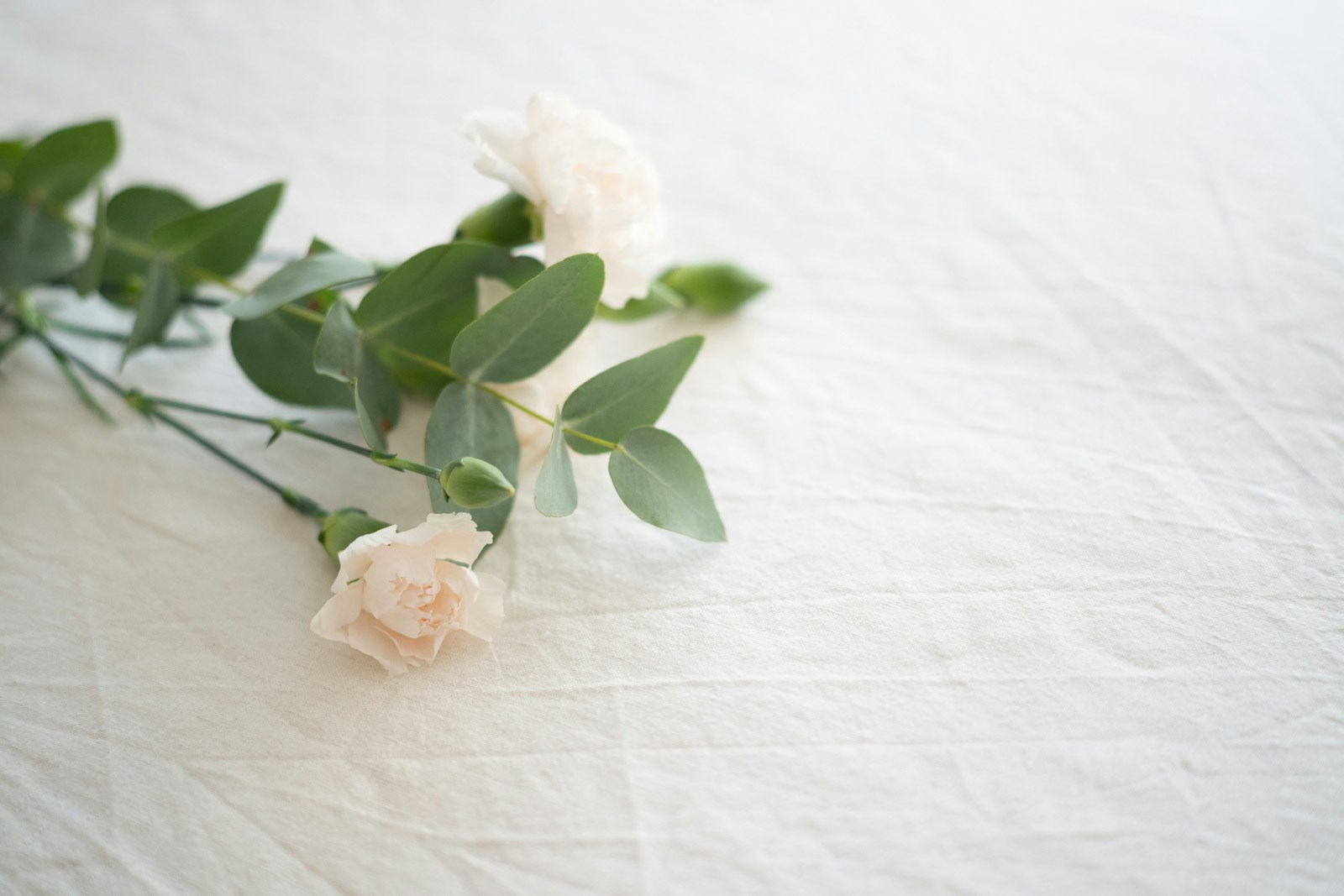 Funeral Care