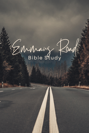 Emmaus Road Bible Study | Plano | Aline de Farias Ordonho & Jocelyn Sumner